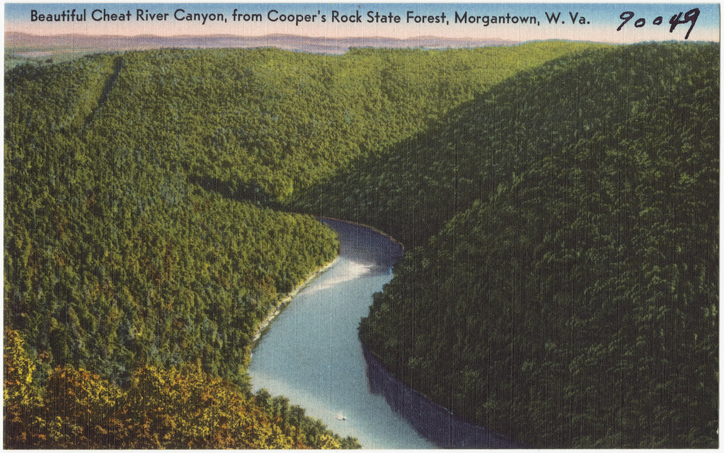 Coopers Rock State Forest Campground