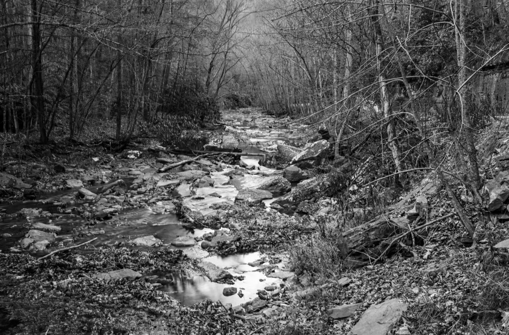 Camp Creek State Park And Forest Campground