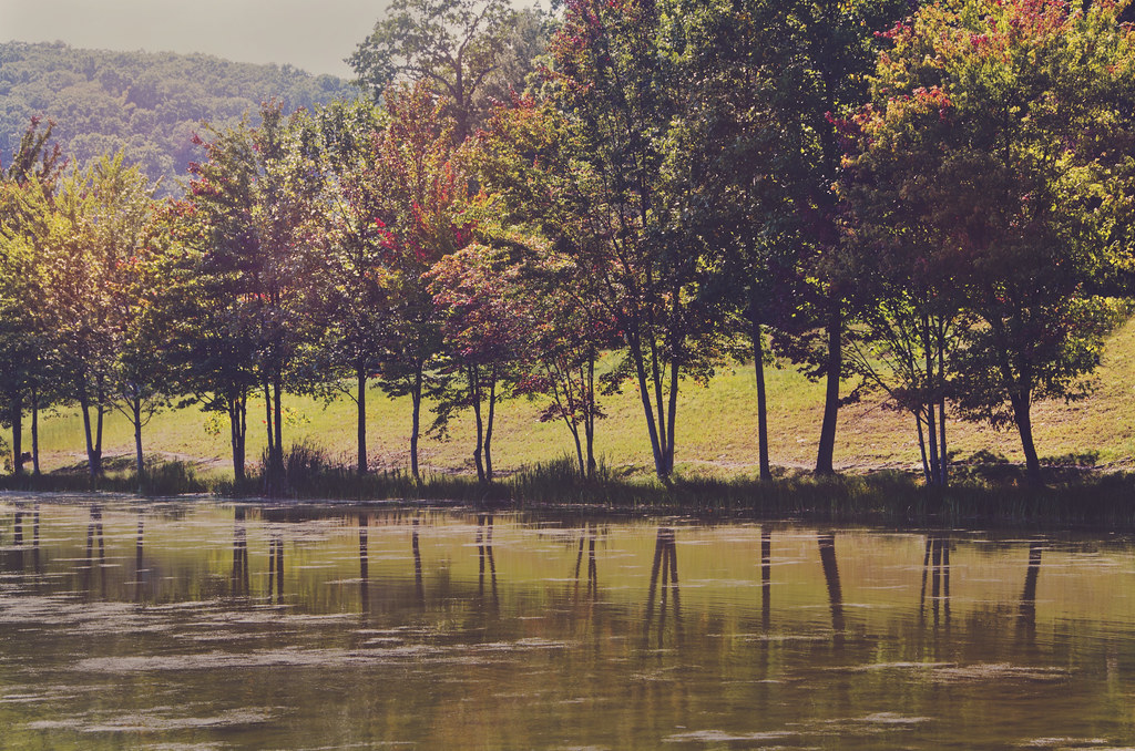 Greenbrier State Forest Campground