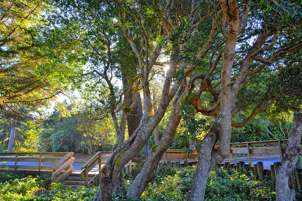 North Bend Campground