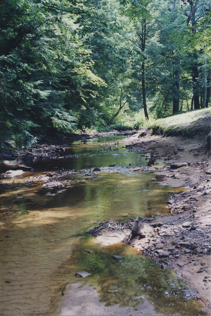 Kanawha State Forest Campground Entrance Campground