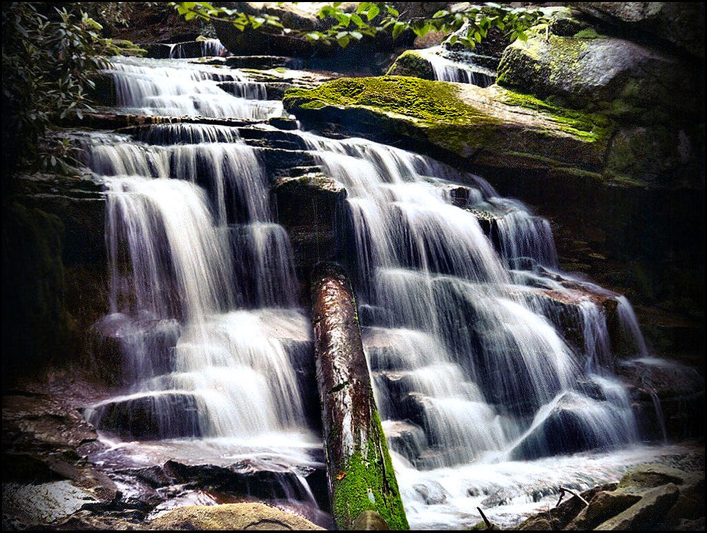 Blackwater Falls Campground