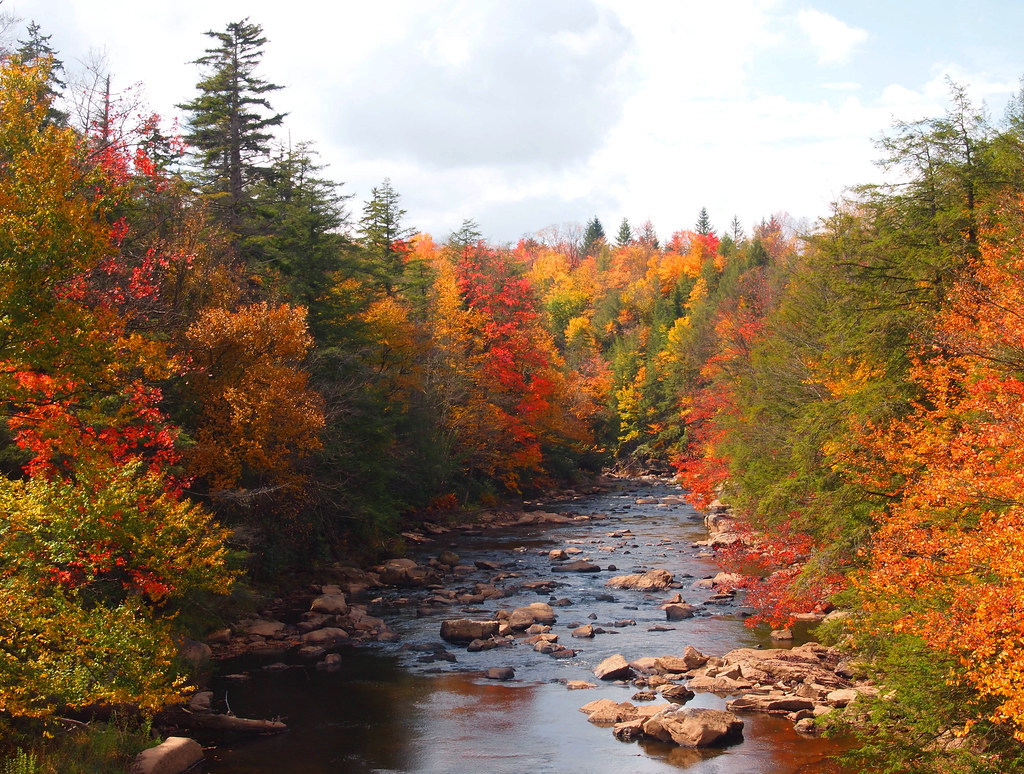 Blackwater Falls Campground