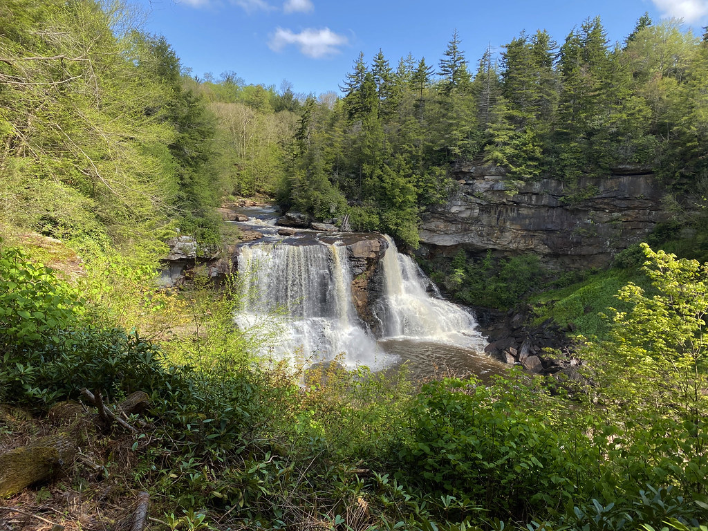 Blackwater Falls Campground