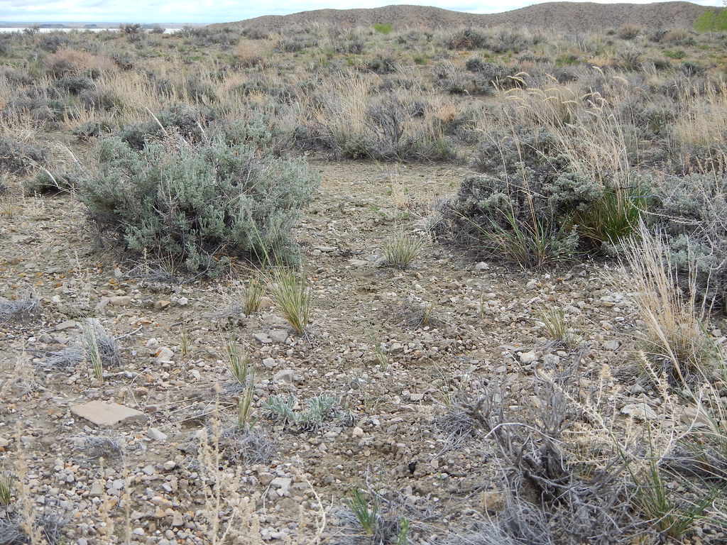 Boysen Campground