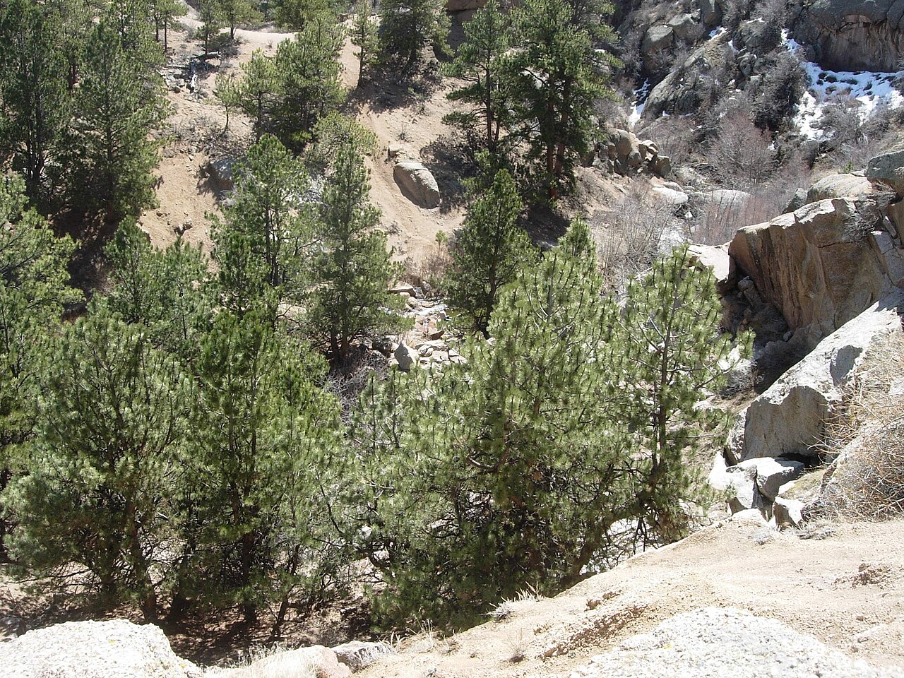 Curt Gowdy Campground