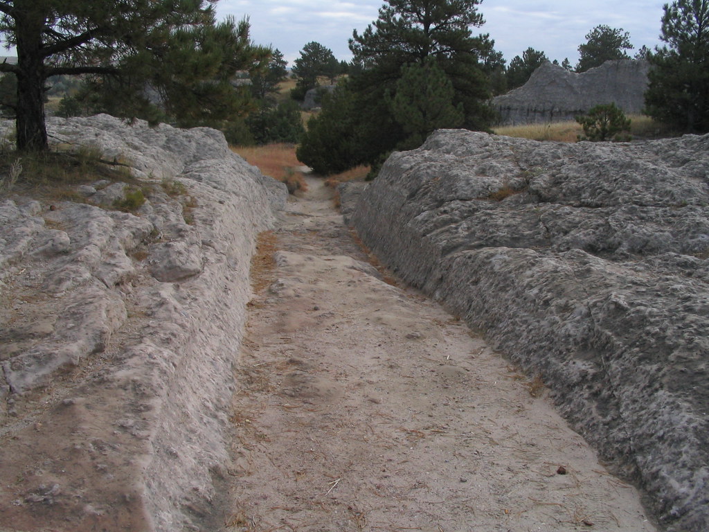 Wikimedia Commons