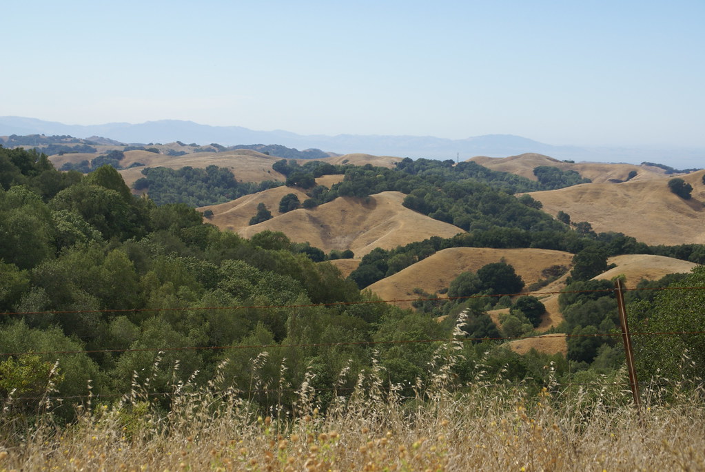 Wikimedia Commons