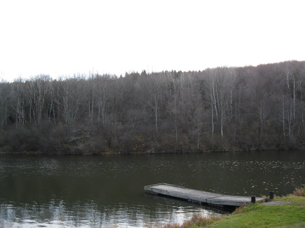 Wikimedia Commons