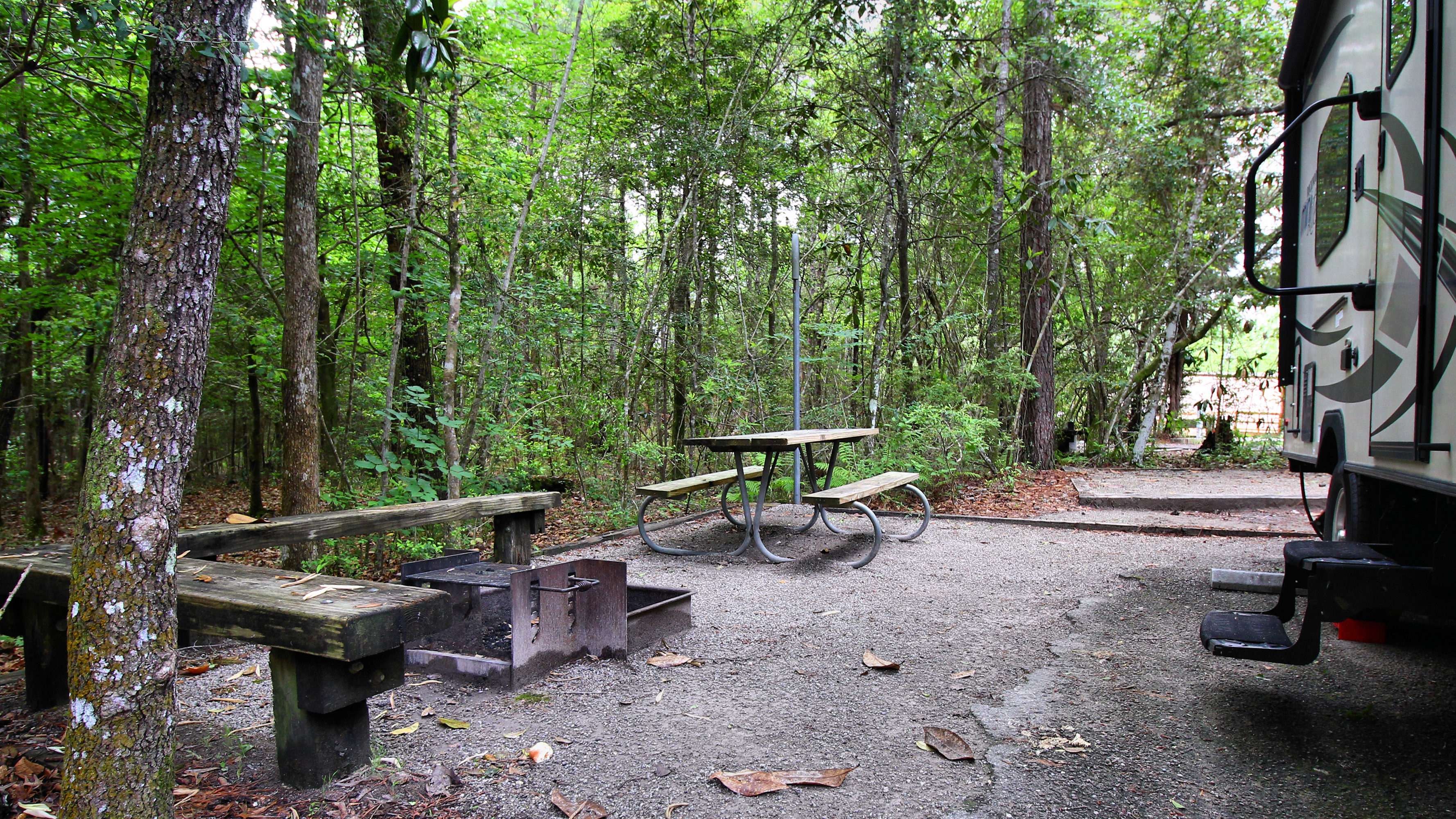 Village Creek State Park