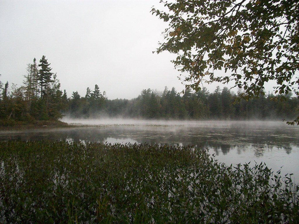 Wikimedia Commons