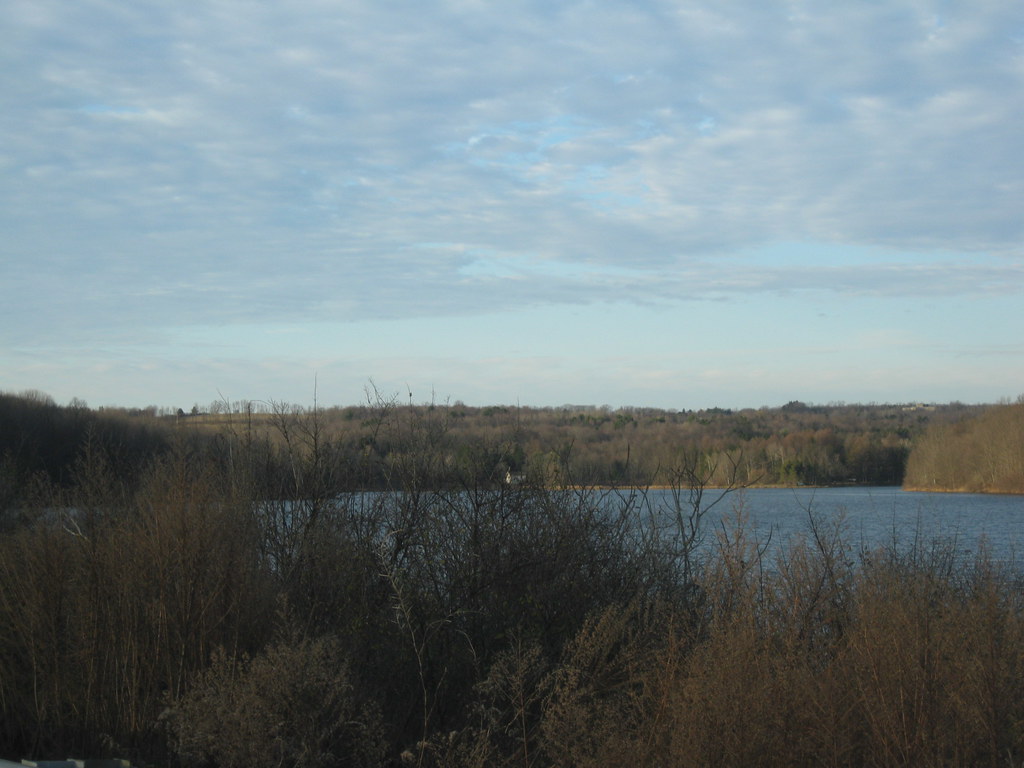 Wikimedia Commons