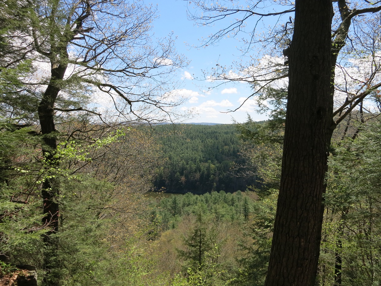 Wilgus State Park