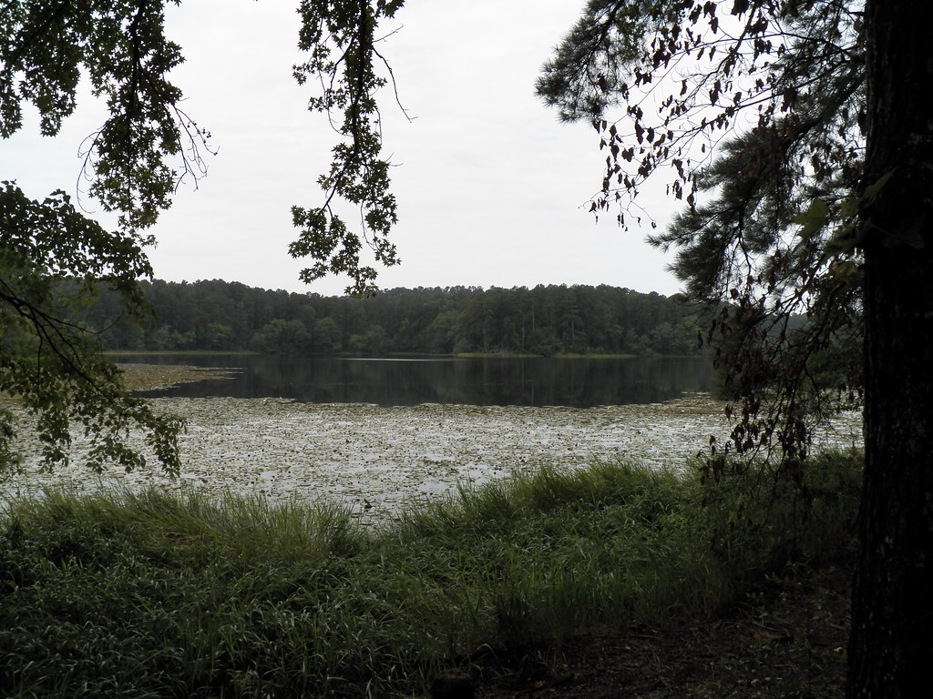 Wikimedia Commons