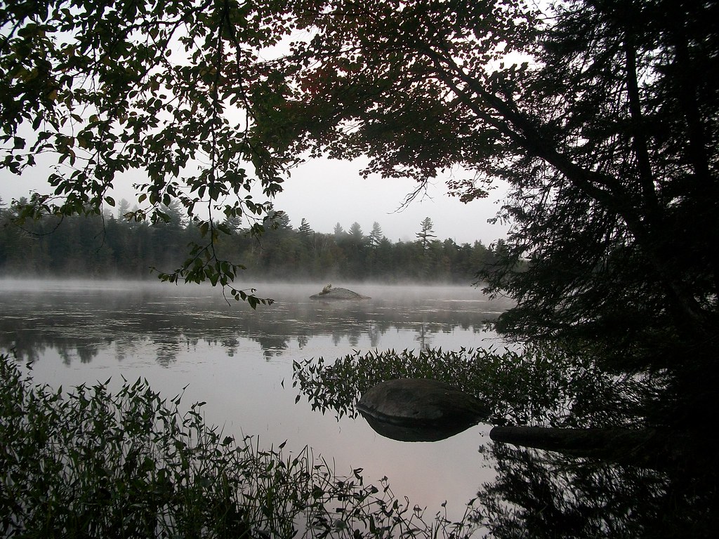 Wikimedia Commons