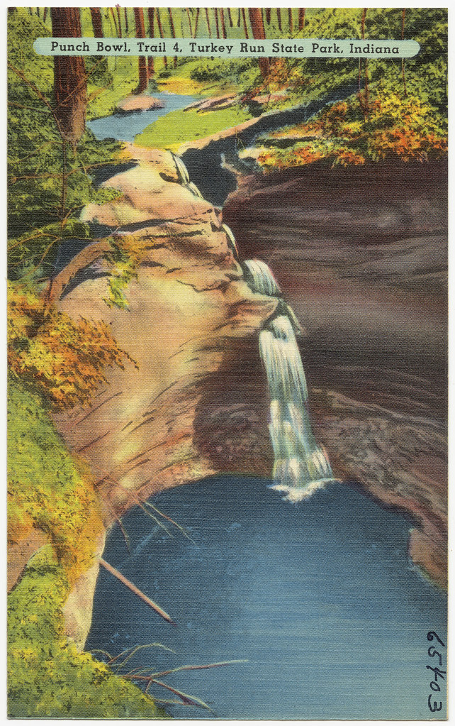 Wikimedia Commons