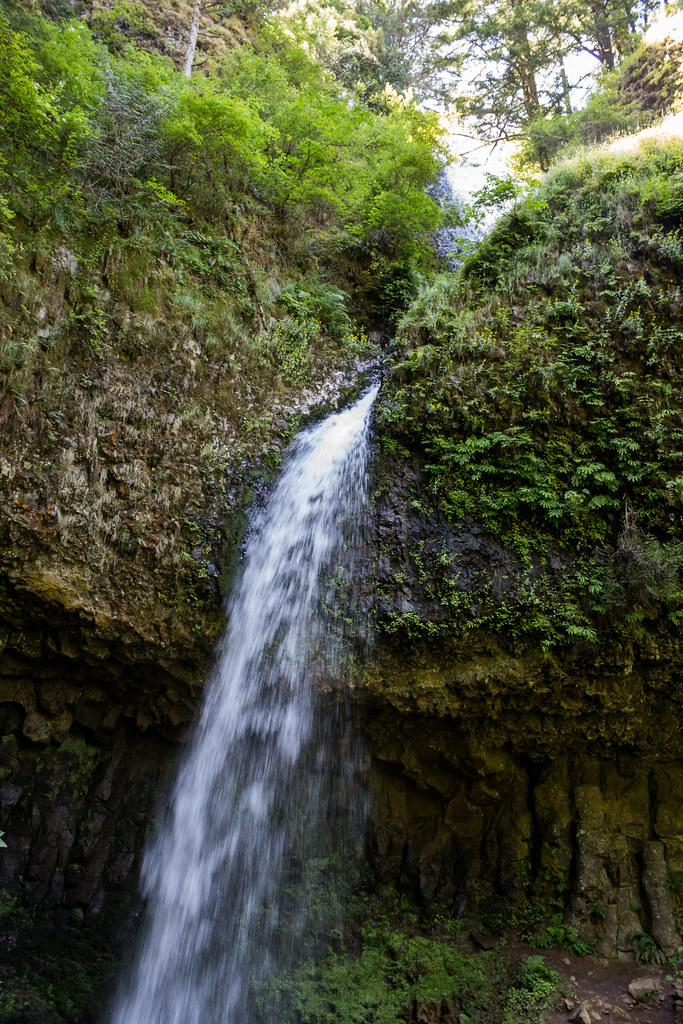 Wikimedia Commons