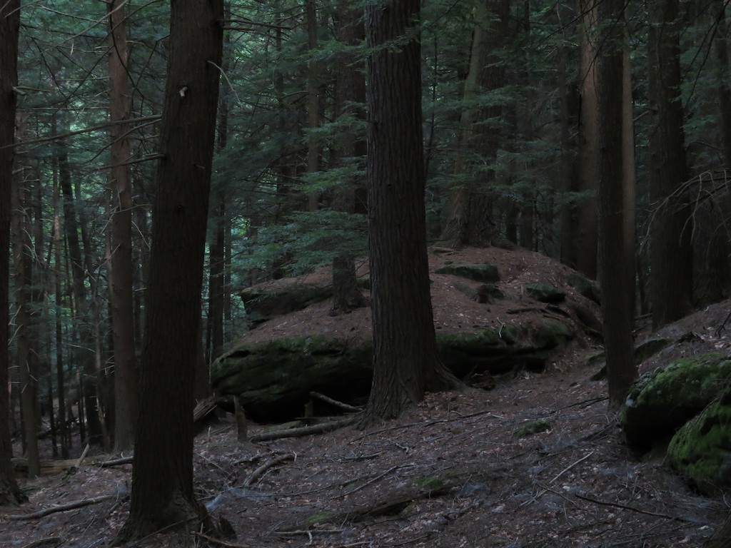 Wikimedia Commons