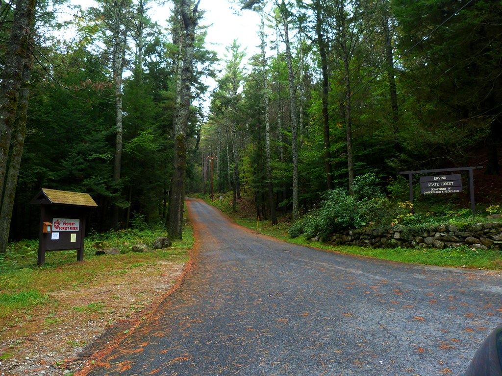 Erving State Forest