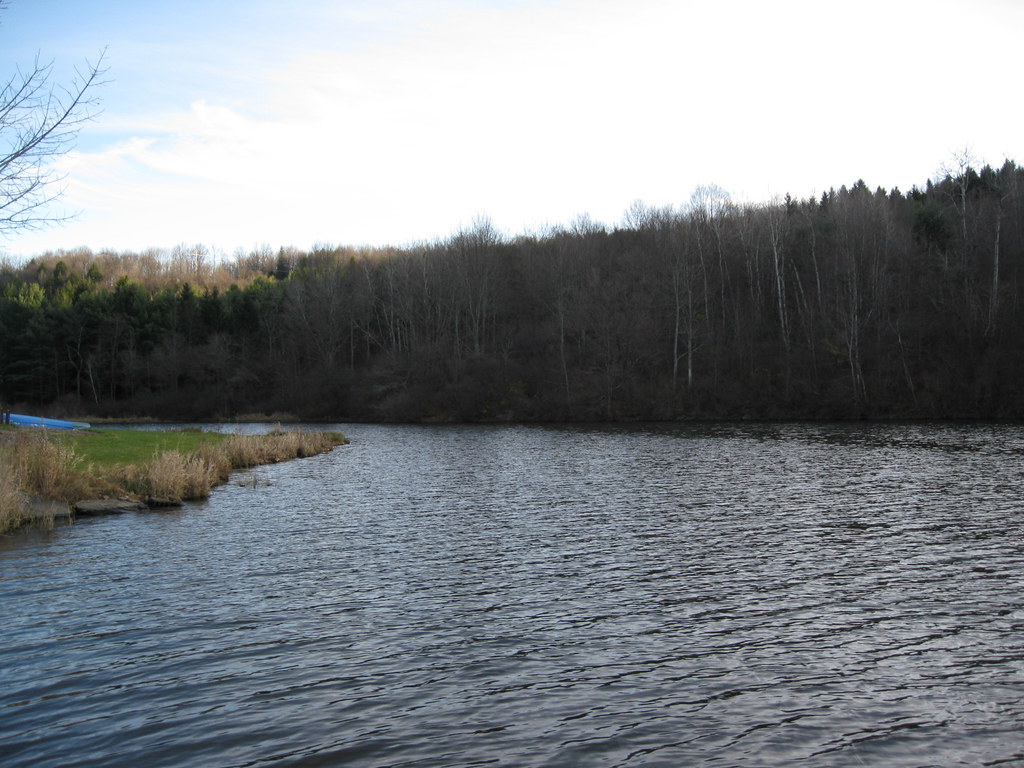 Wikimedia Commons