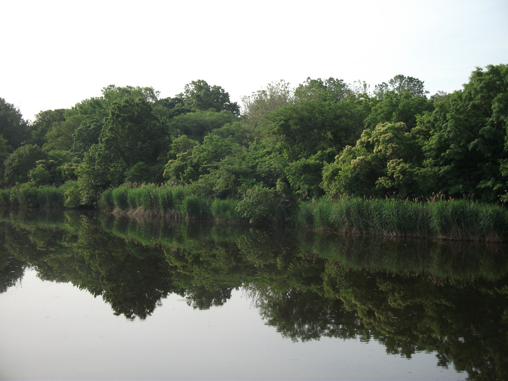 Wikimedia Commons