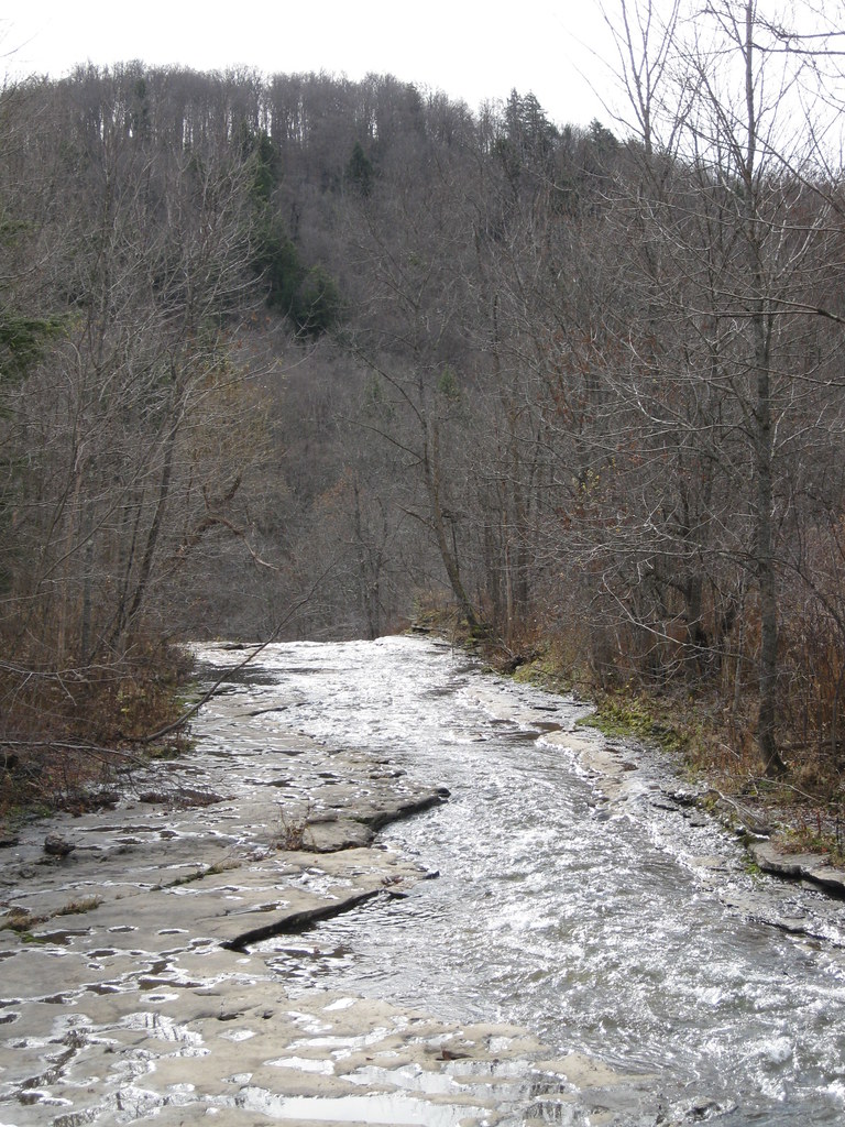 Wikimedia Commons