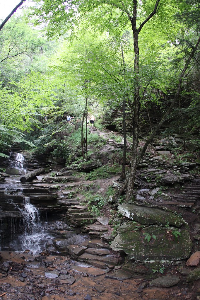 Trough Creek State Park