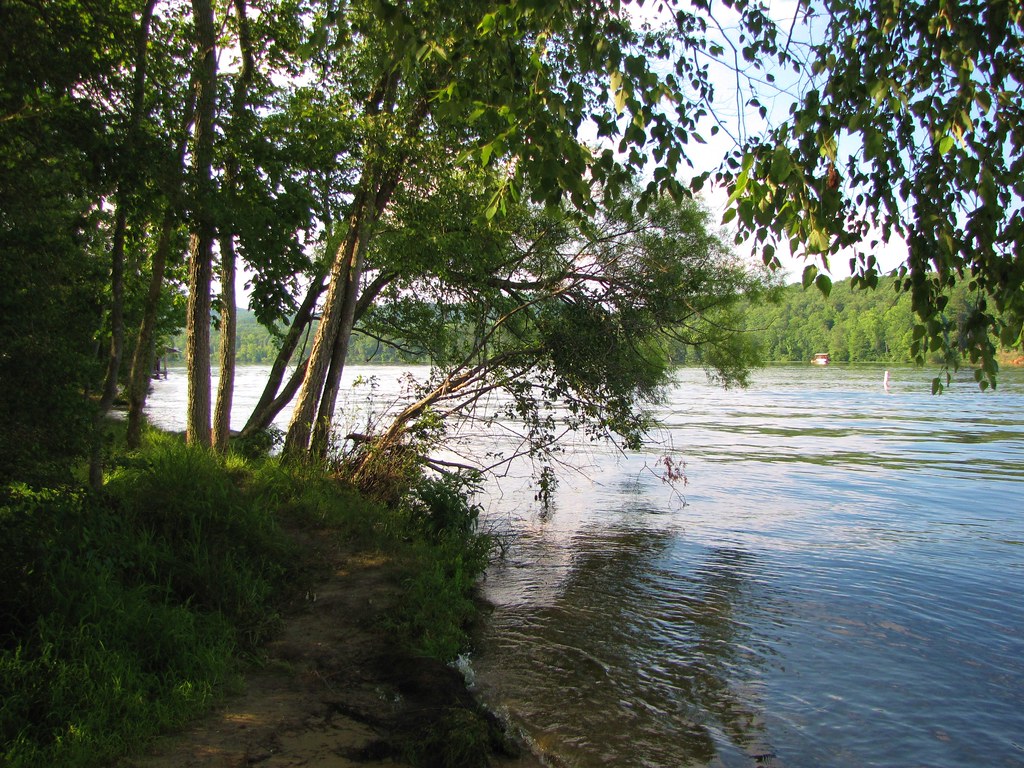 Wikimedia Commons