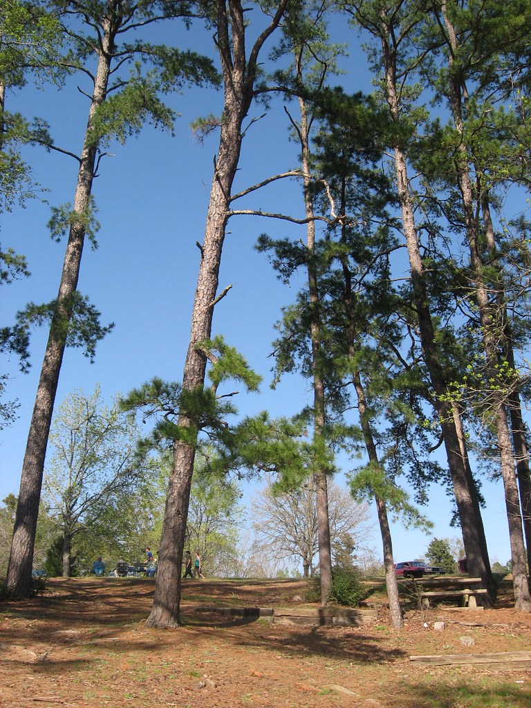 Wikimedia Commons
