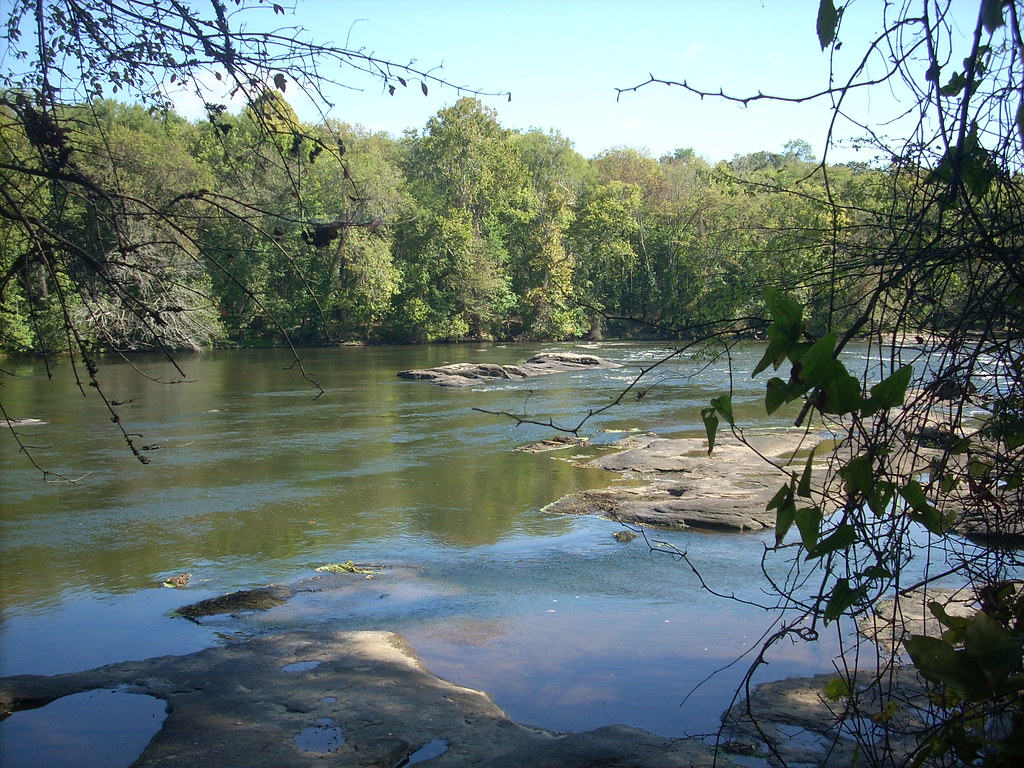 Wikimedia Commons
