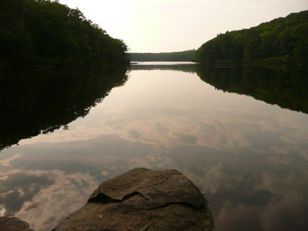 Beartown State Forest