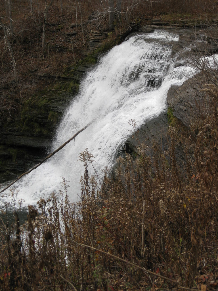 Wikimedia Commons