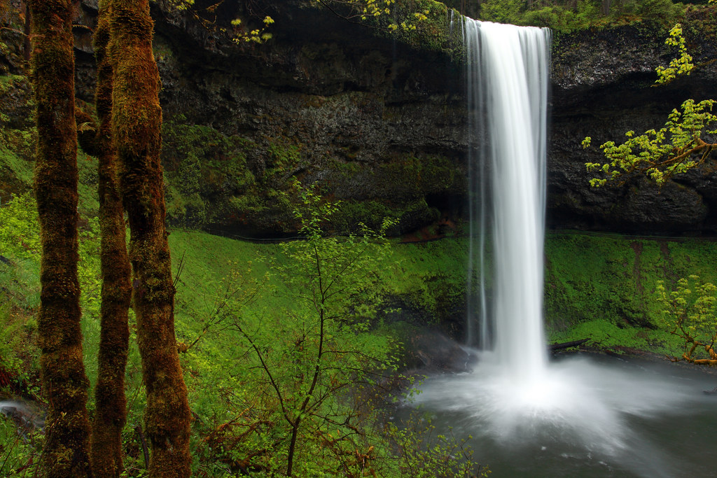 Silver Falls State Park