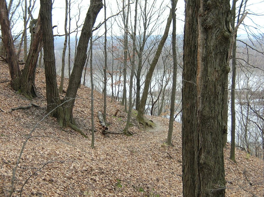 Pere Marquette Campground