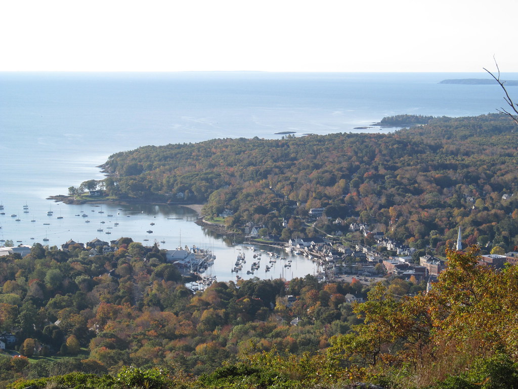 Wikimedia Commons
