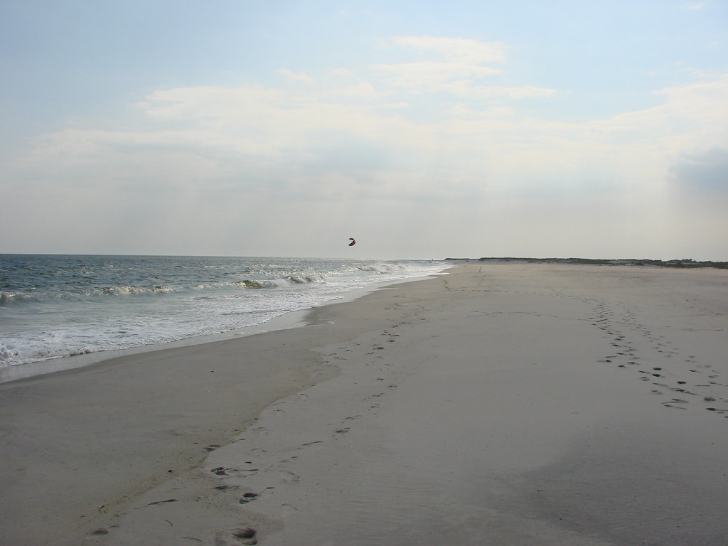 Wikimedia Commons