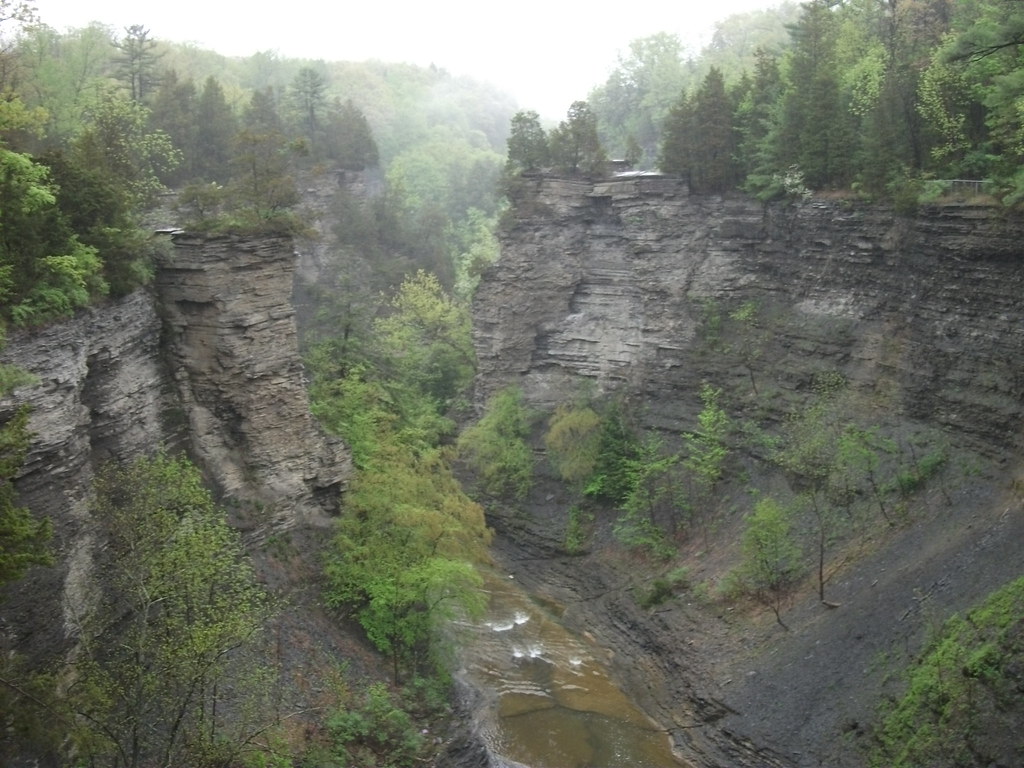 Wikimedia Commons