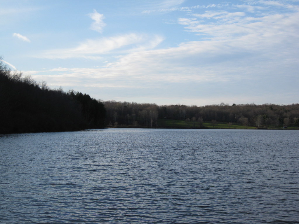 Wikimedia Commons