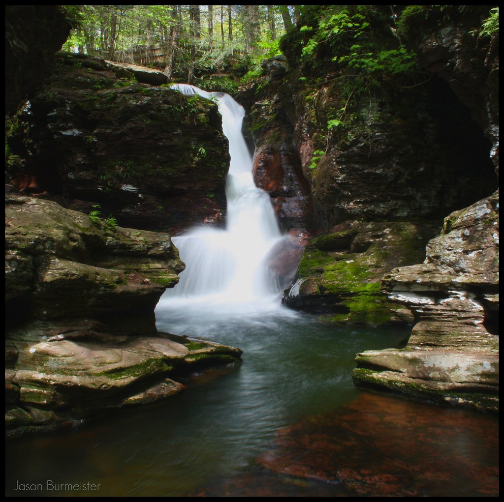 Wikimedia Commons