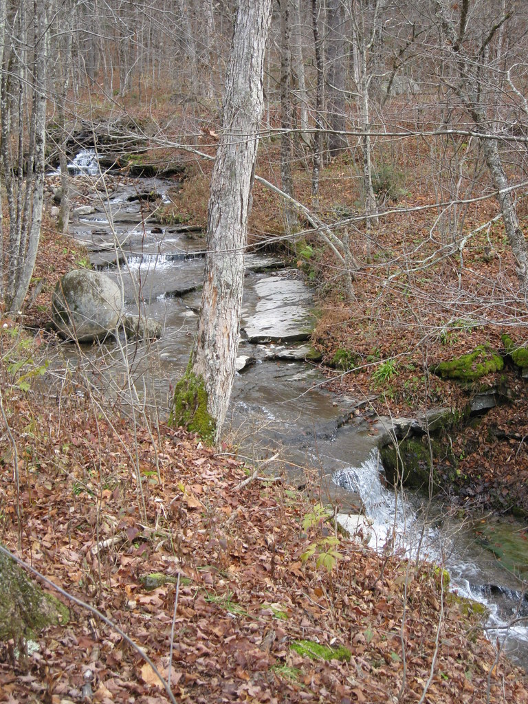 Wikimedia Commons