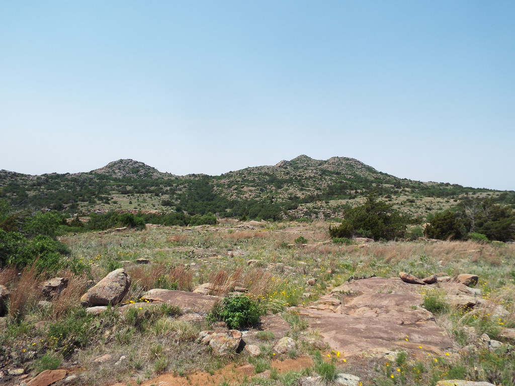 Wikimedia Commons
