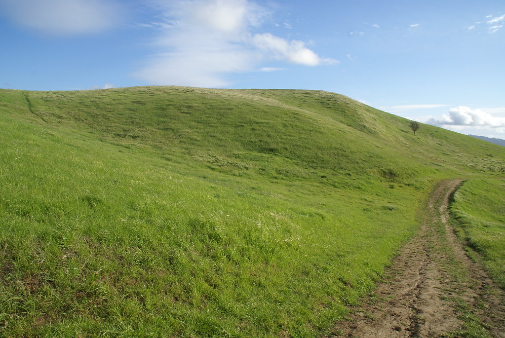 Wikimedia Commons