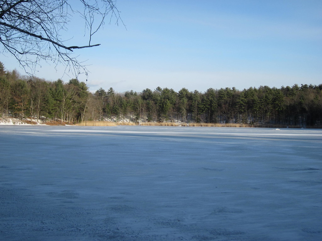 Wikimedia Commons
