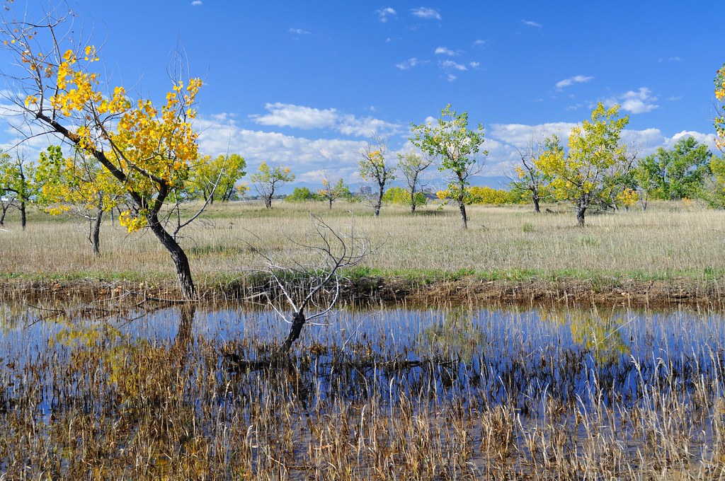Cherry Creek Campground
