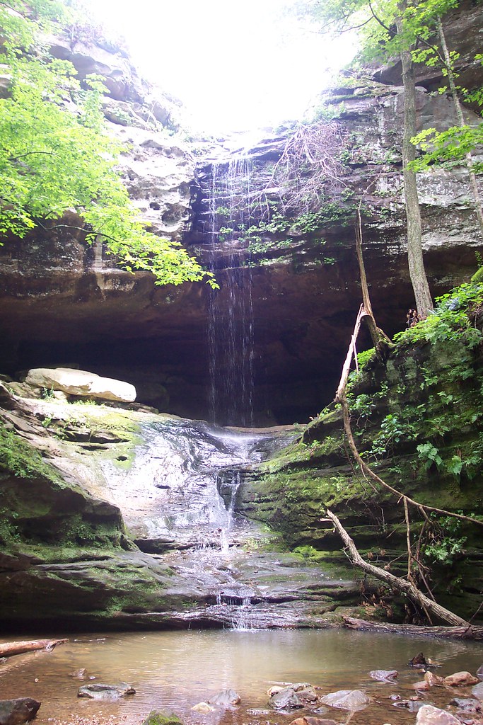 Turkey Ridge Campground - Ferne Clyffe Campground