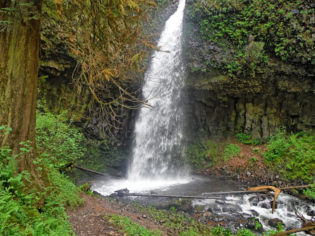 Wikimedia Commons