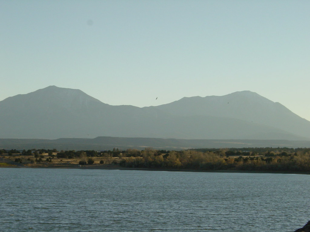 Wikimedia Commons