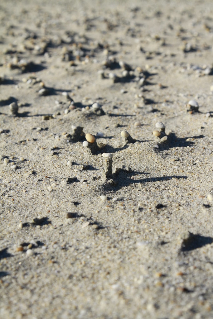 Sandy Shore Recreation Area Campground