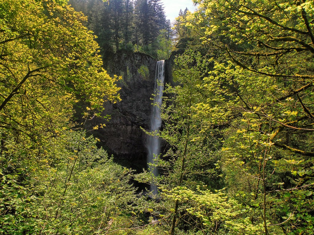 Wikimedia Commons