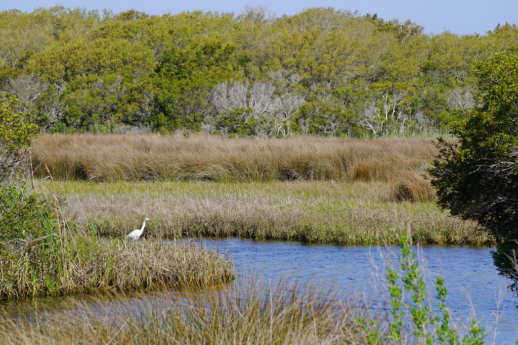 Fort Fisher State Recreation Area